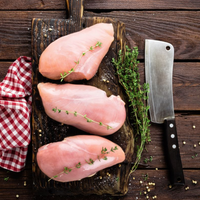 Frozen Chicken Breast — 1kg pack (boneless & skinless)