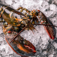 Whole Raw Maine Lobster 850g